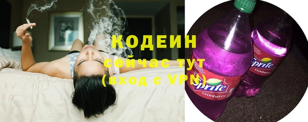амф Ладушкин