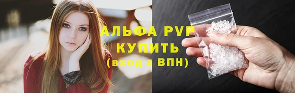 амф Ладушкин