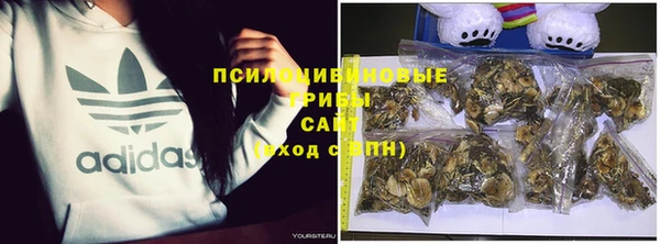 амф Ладушкин