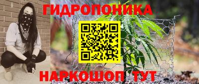 стаф Кимры