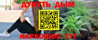 Альфа ПВП Кингисепп